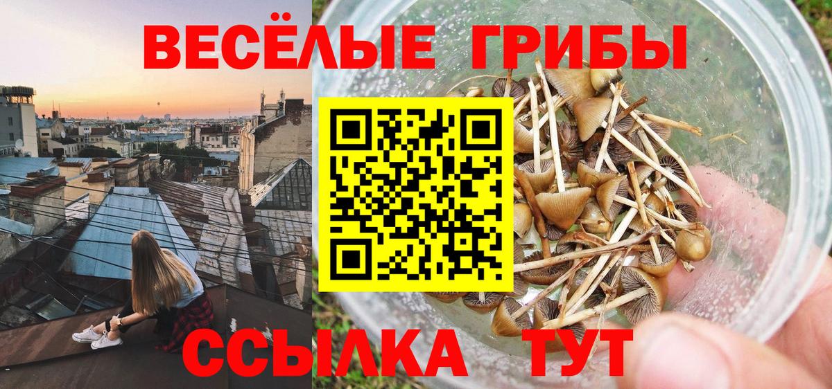 Галлюциногенные грибы прущие грибы  Псилоцибиновые грибы Psilocybe  Пыть-Ях  Вход с VPN 